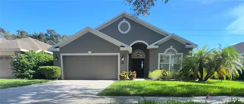 3217 Stonebridge Trl, Valrico, FL 33596
