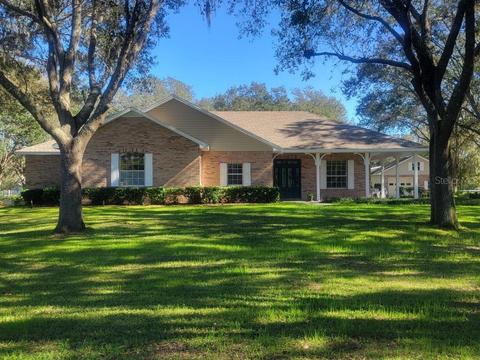 19909 Pine Tree Rd, Odessa, FL 33556 photo 1