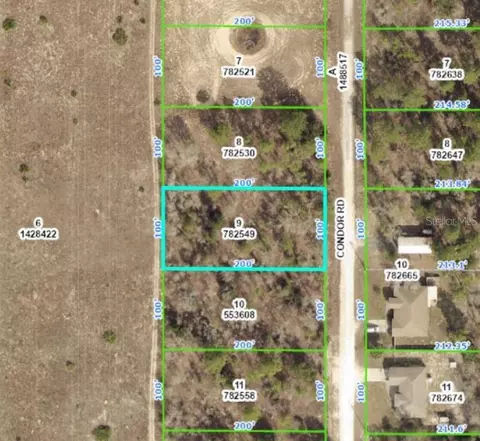 14345 Condor Rd, Weeki Wachee, FL 34614