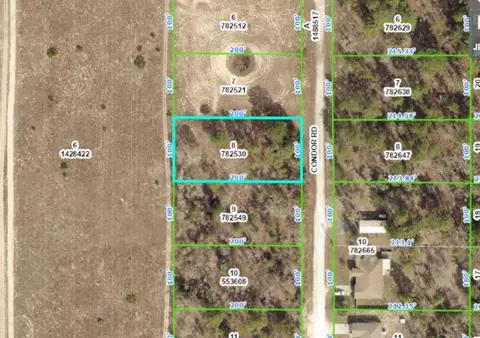 14355 Condor Rd, Weeki Wachee, FL 34614