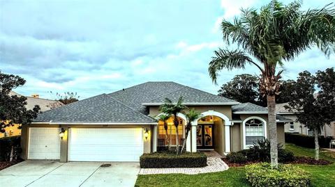 2129 Edelweiss Loop, Trinity, FL 34655 photo 1