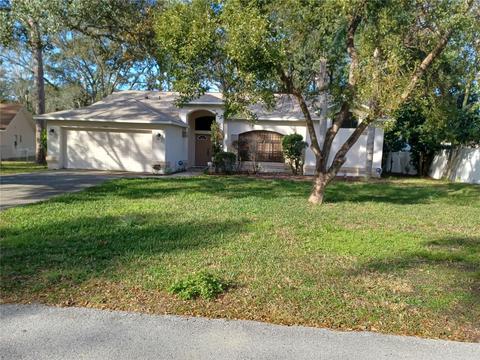 1307 Dion Ln, Spring Hill, FL 34608 photo 1