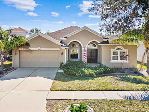 10903 Australian Pine Dr, Riverview, FL 33579 photo 1