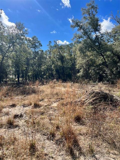 2532 W Orange Grove Pl, Dunnellon, FL 34433