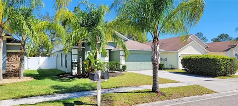 1048 Rosefaire Pl, Odessa, FL 33556