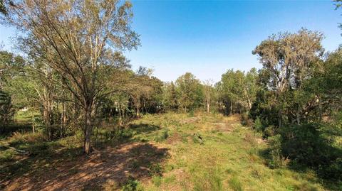 3527 Haystack Rd, Wesley Chapel, FL 33543 photo 1