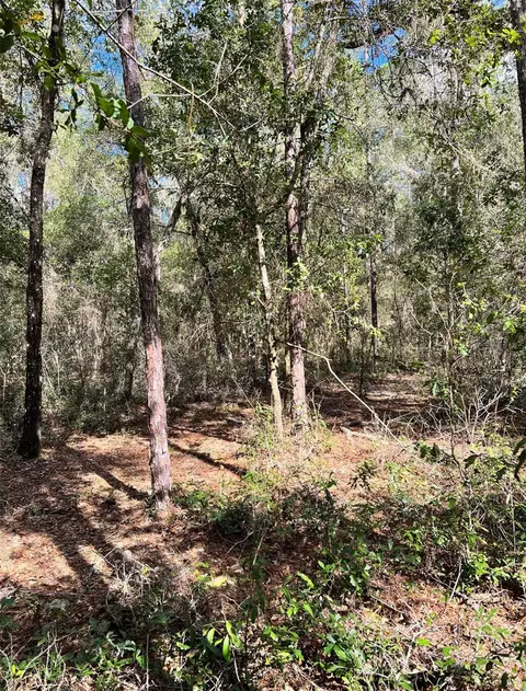 321 E Marquette Ln, Citrus Springs, FL 34434