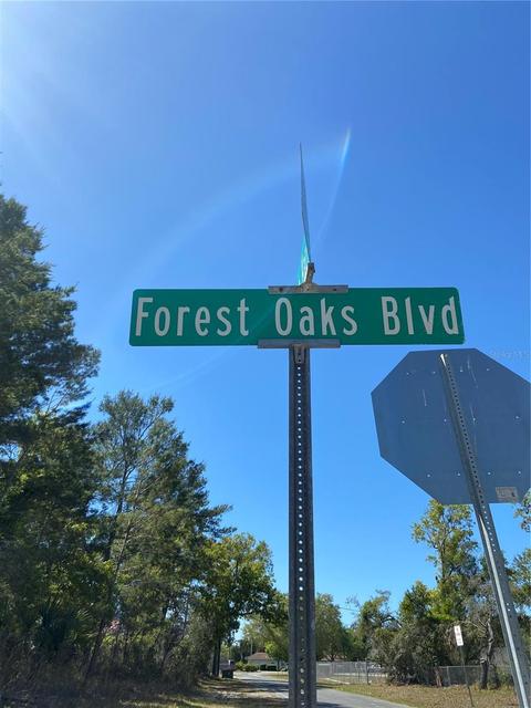 9030 Forest Oaks Blvd, Spring Hill, FL 34606