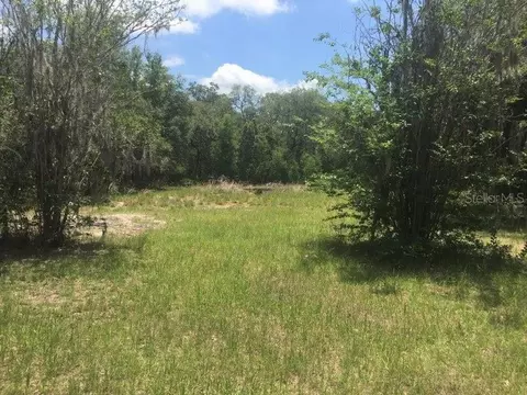 16450 Jetson Dr, Spring Hill, FL 34610