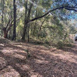 12423 N Elf Pt, Dunnellon, FL 34433