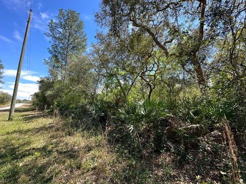 Creekstone Street, Webster, FL 33597
