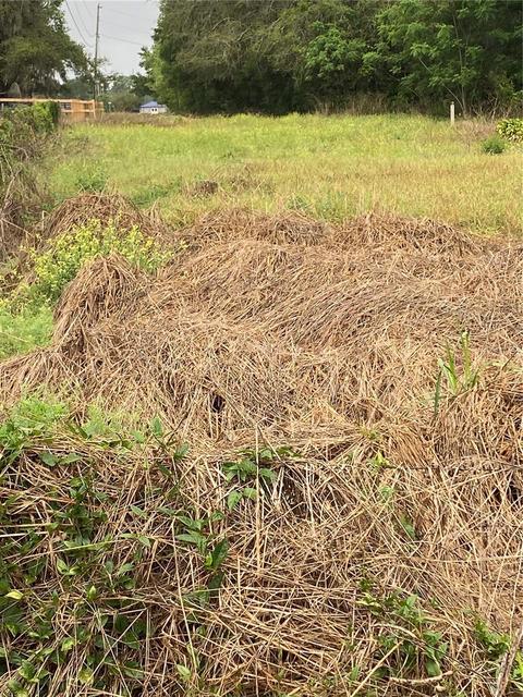 40950 Stewart Rd, Dade City, FL 33523