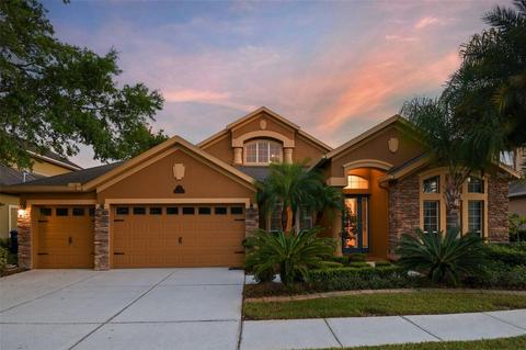 15052 Azra Dr, Odessa, FL 33556