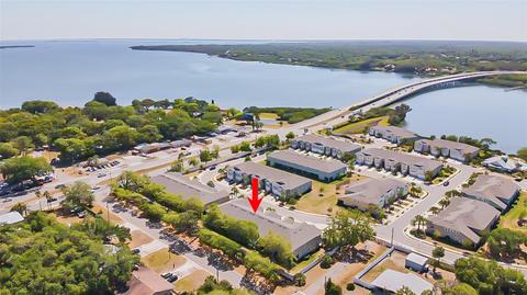 1811 Sunset Wind Loop, Oldsmar, FL 34677 photo 1
