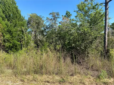 Harrison Street, Brooksville, FL 34613