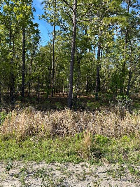 Sw 91st Lane, Dunnellon, FL 34430