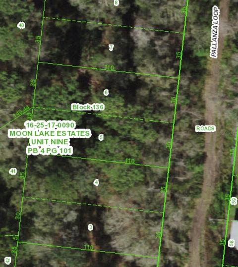 0 N Pallanza Loop, New Port Richey, FL 34654