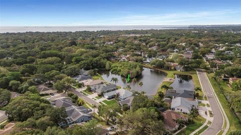 210 Water View Ct, Safety Harbor, FL 34695