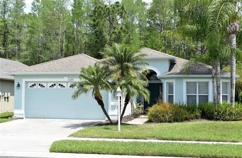 1131 Dustan Pl, Trinity, FL 34655