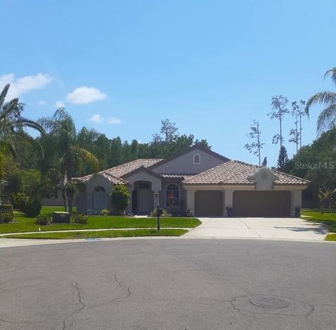 1612 Chatam Ct, Oldsmar, FL 34677