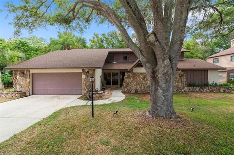 2434 Indian Oak Ct, Palm Harbor, FL 34683