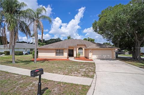 4979 Lake Valencia Blvd E, Palm Harbor, FL 34684