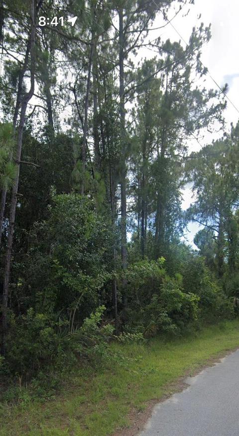 Trumpet Street, North Port, FL 34291