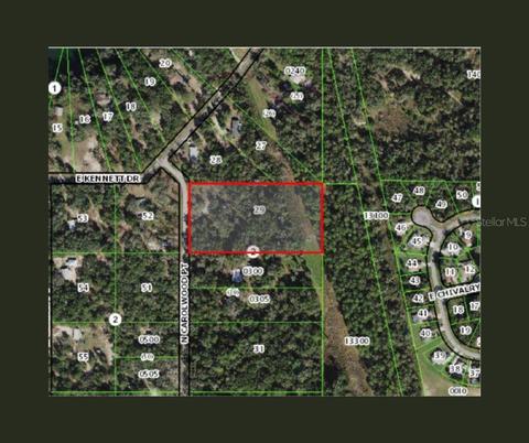 3425 N Carolwood Pt, Hernando, FL 34442