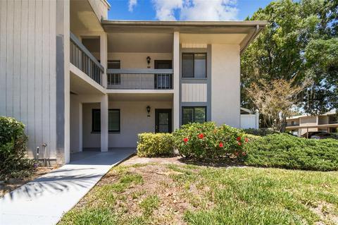 316 Martha Ln, Oldsmar, FL 34677