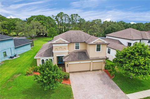 12604 Eagles Entry Dr, Odessa, FL 33556 photo 1