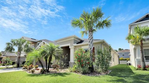 8830 Tropical Palm Dr, Tampa, FL 33626