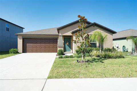 10337 Scarlett Skimmer Dr, Riverview, FL 33578