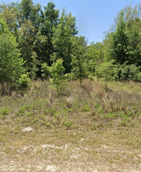 SW 114th Place, Dunnellon, FL 34432