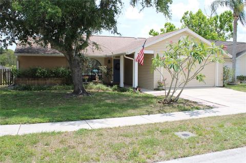 1732 Pintail Ct, Lutz, FL 33549