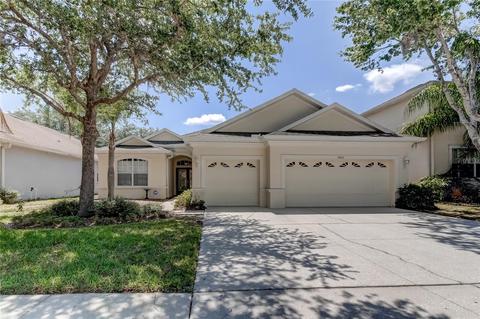 10502 Sky Flower Ct, Land O Lakes, FL 34638