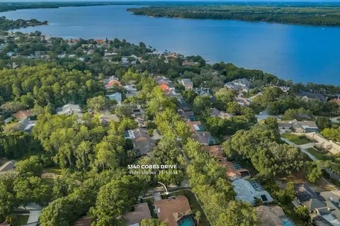 3340 Cobbs Dr, Palm Harbor, FL 34684