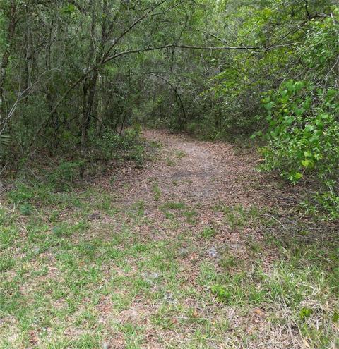 4701 E Shorewood Dr, Hernando, FL 34442