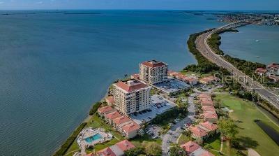6322 Palma Del Mar Blvd S #1005, Saint Petersburg, FL 33715