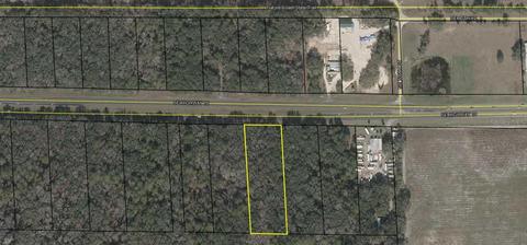 25022 SE Hwy 19, Old Town, FL 32680