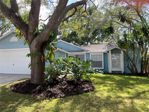 1467 Noell Blvd, Palm Harbor, FL 34683