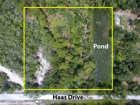 lot13 Haas Dr, Webster, FL 33597