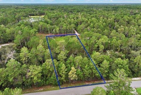 Mango Street, Eustis, FL 32736
