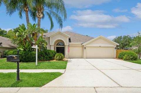 4767 Stonebriar Dr, Oldsmar, FL 34677