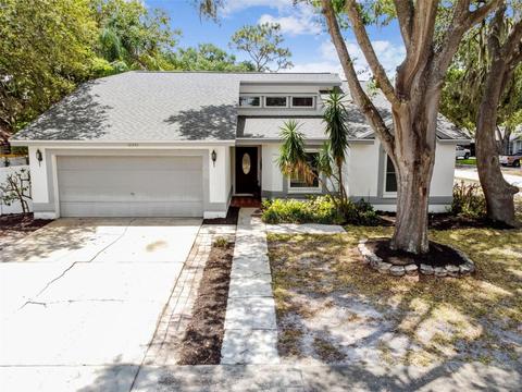 12201 Netherfield Ct, Riverview, FL 33569