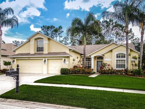 12518 Leatherleaf Dr, Tampa, FL 33626