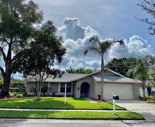 9820 Stephenson Dr, New Port Richey, FL 34655