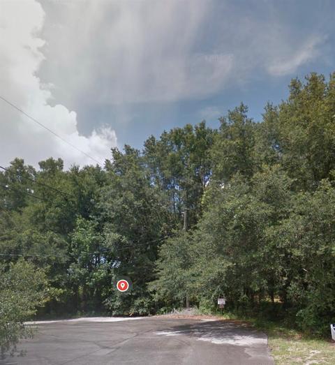 Pine Trace Trail, Silver Springs, FL 34489