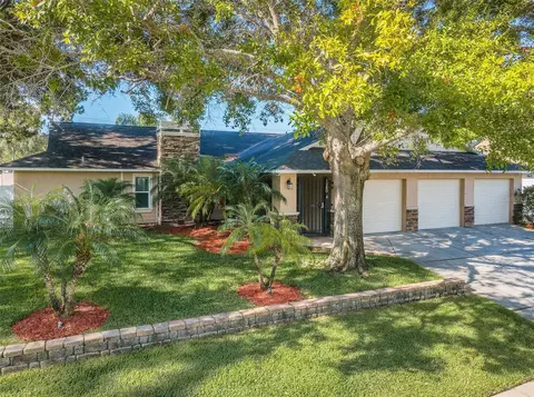 1280 Ridgegrove Dr S, Palm Harbor, FL 34683