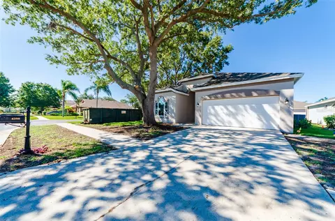 4380 Sawgrass Dr, Palm Harbor, FL 34685