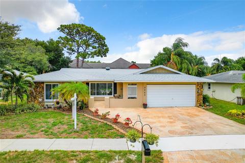 2223 Blue Tern Dr, Palm Harbor, FL 34683
